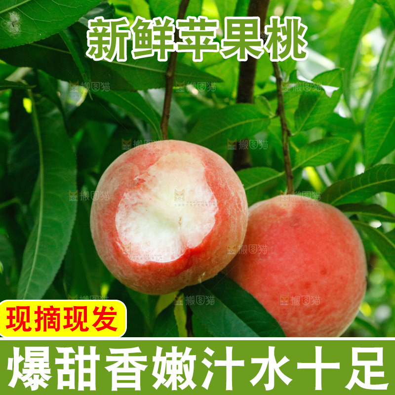树上的新鲜脆桃