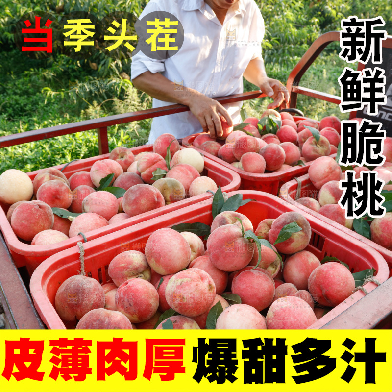 手里拿着苹果桃