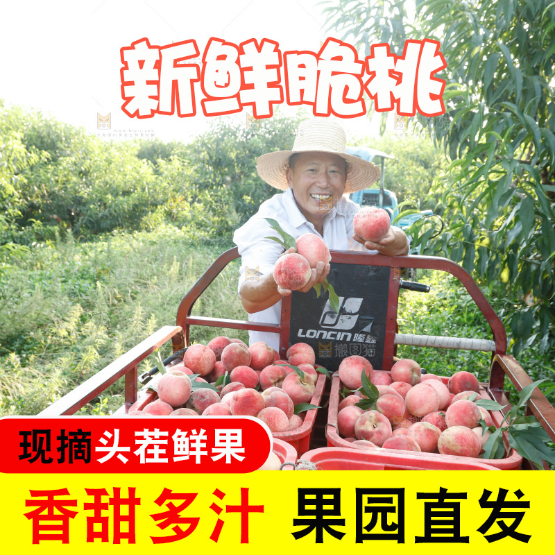 手里拿着苹果桃