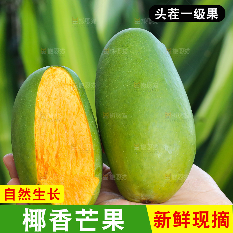 手里拿着椰香芒