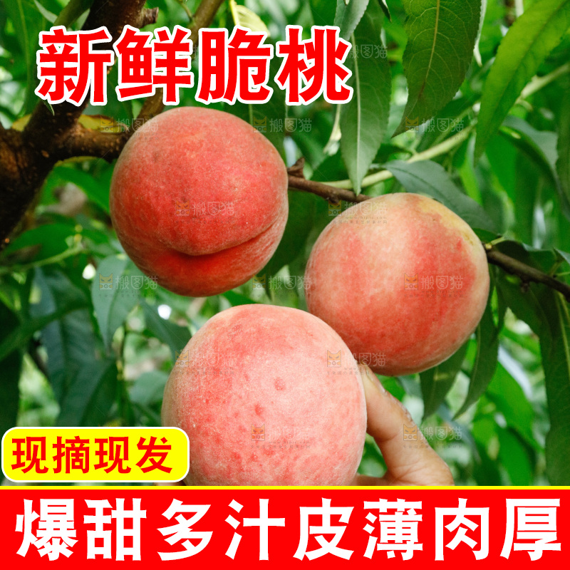 手里拿着苹果桃