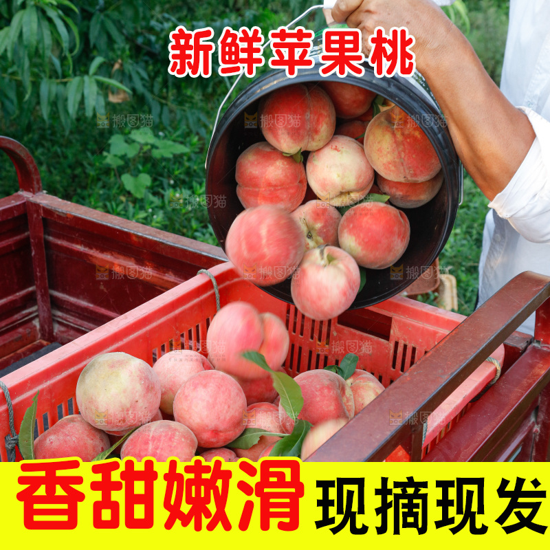 手里拿着苹果桃