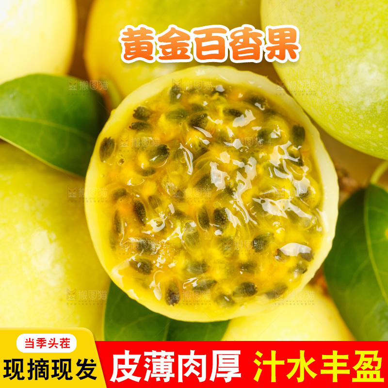 浅底上的黄金百香果