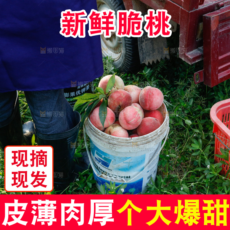 堆放着新鲜苹果桃