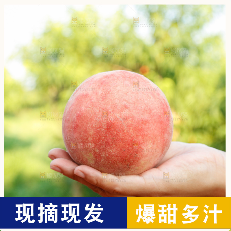 手里拿着苹果桃