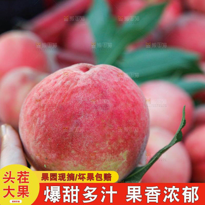 手里拿着苹果桃