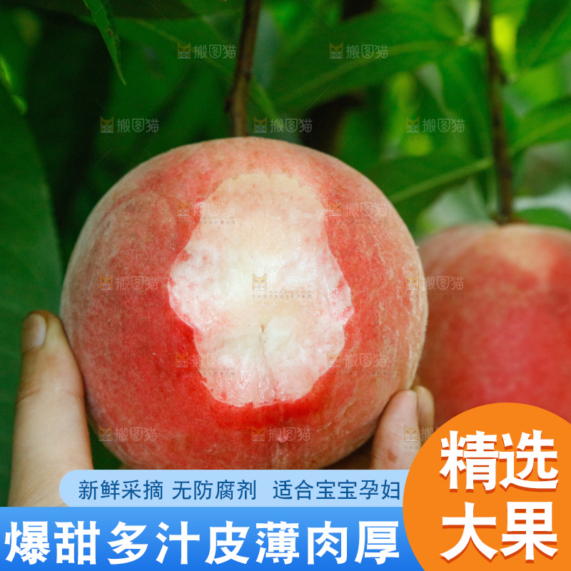 树上的新鲜脆桃