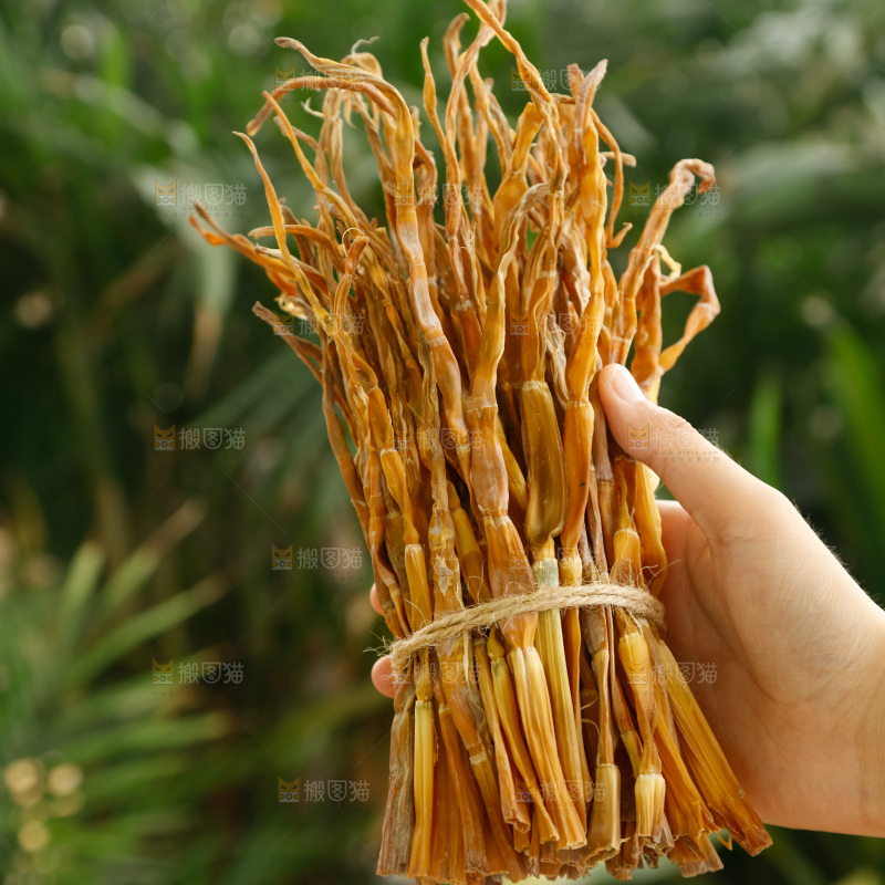 手里拿着小笋干