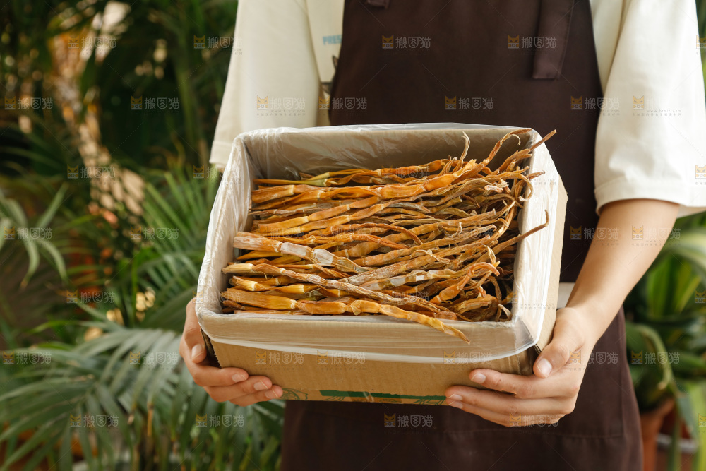 手里拿着小笋干