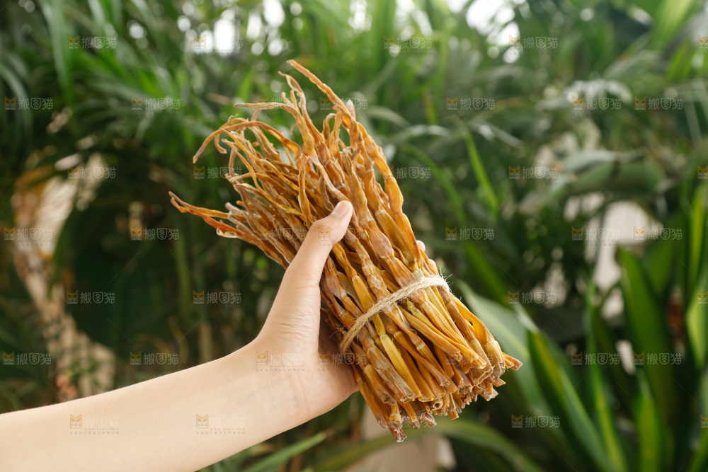 手里拿着小笋干