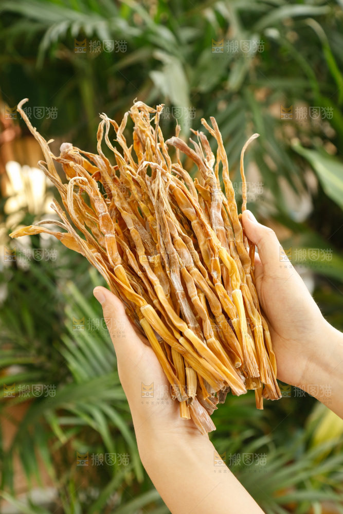 手里拿着小笋干