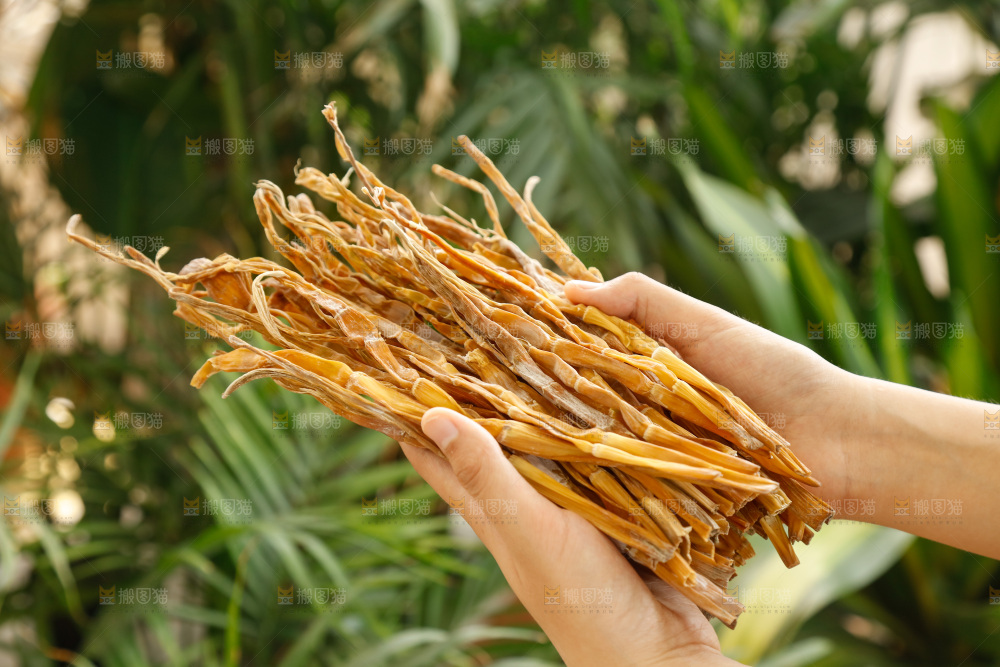 手里拿着小笋干