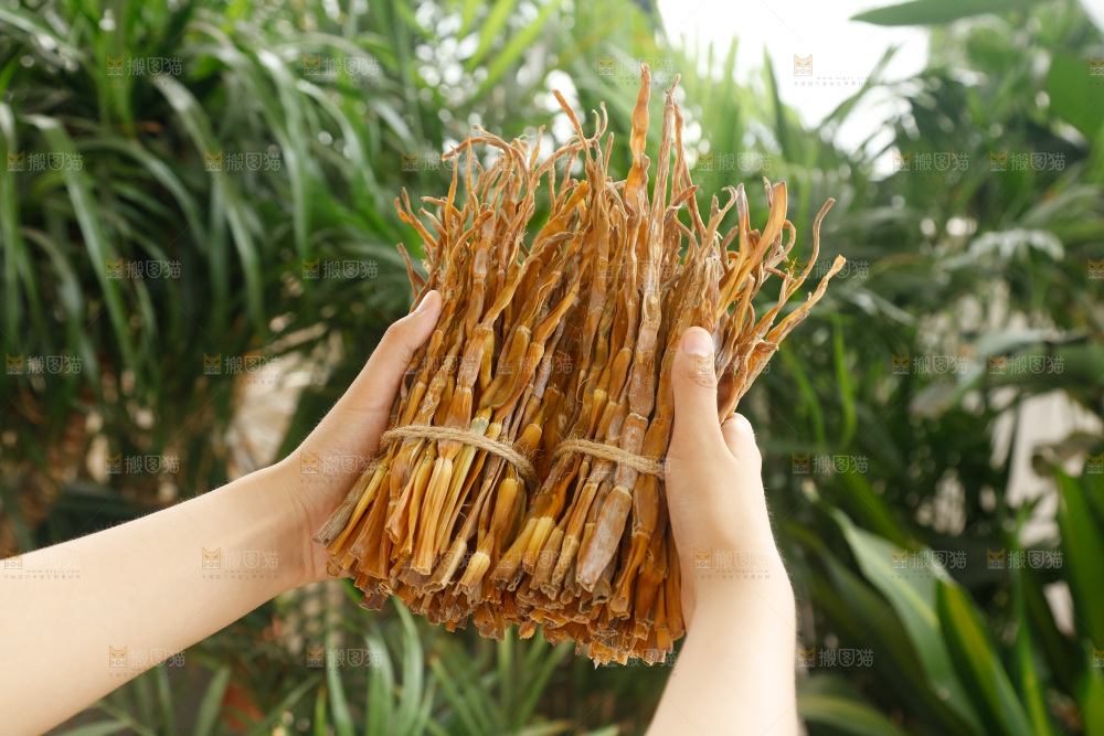 手里拿着小笋干