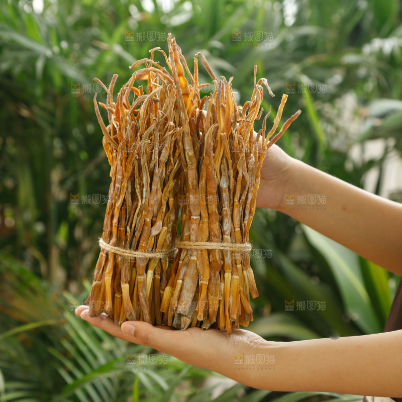 手里拿着小笋干