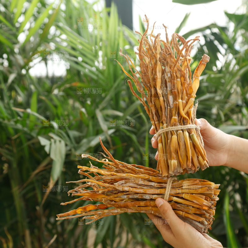 手里拿着小笋干