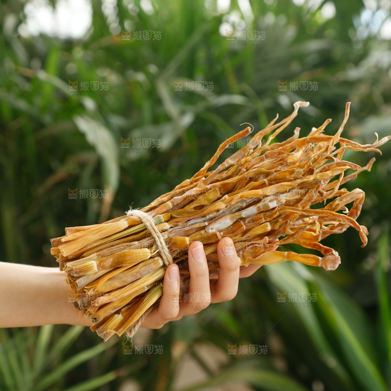 手里拿着小笋干