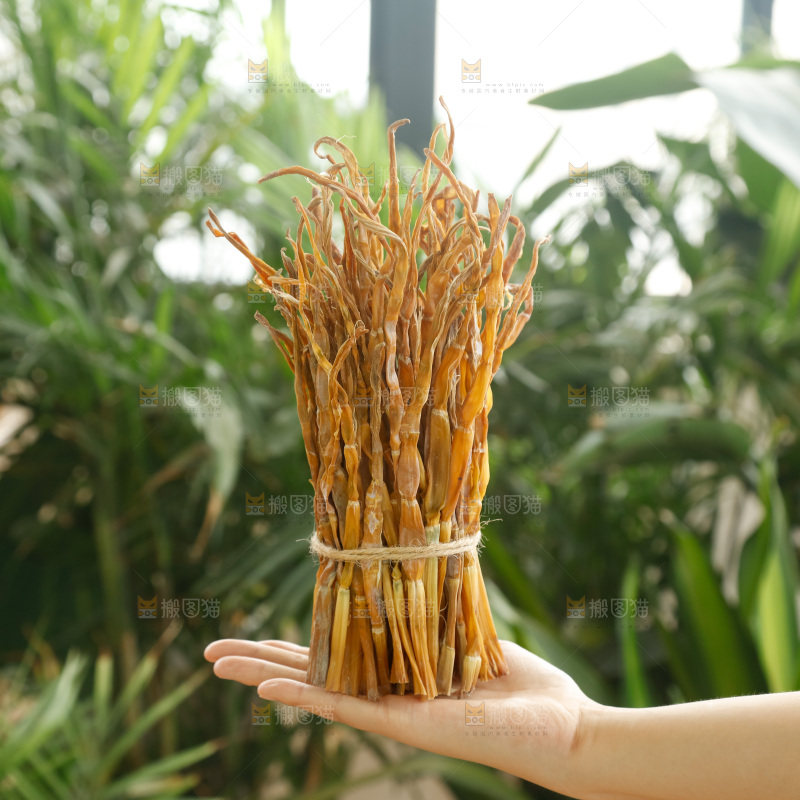 手里拿着小笋干