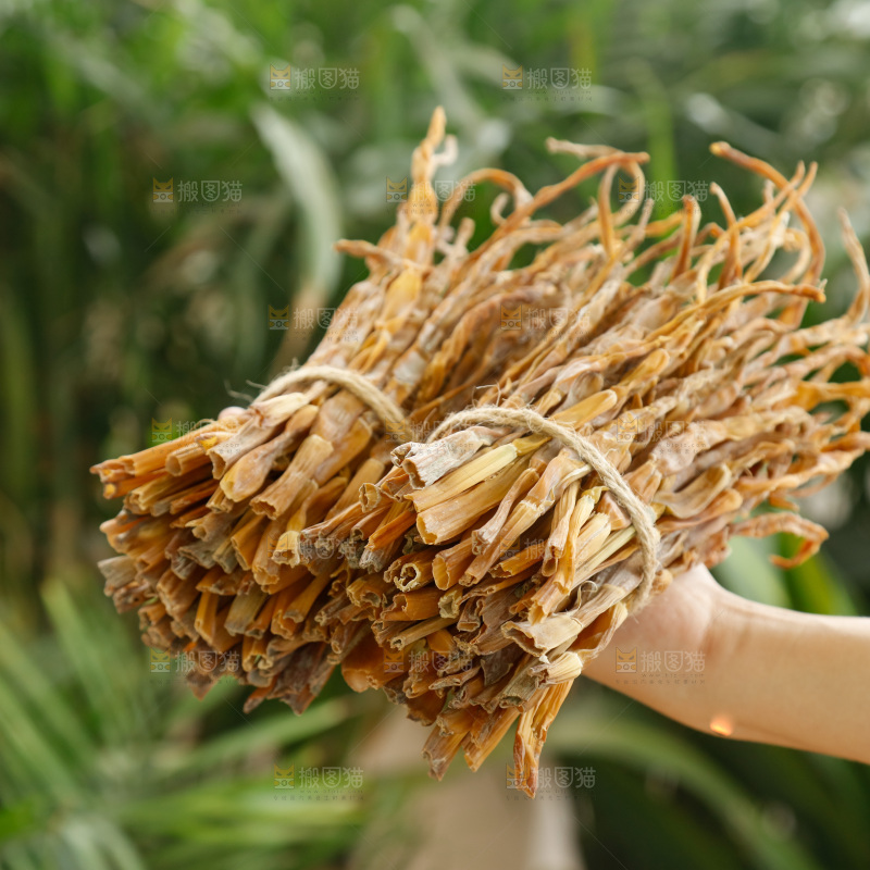 手里拿着小笋干