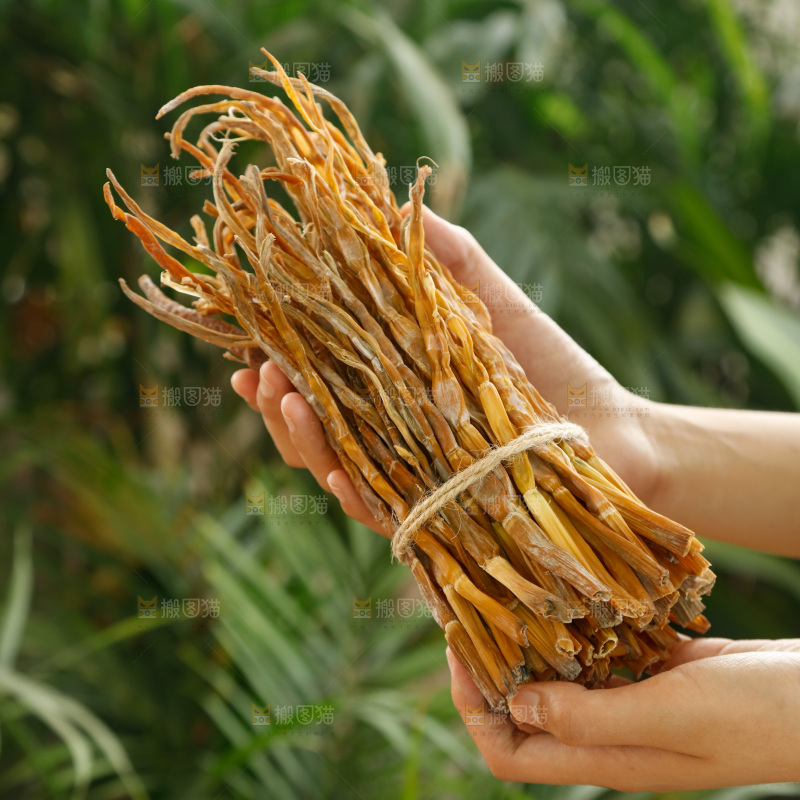 手里拿着小笋干
