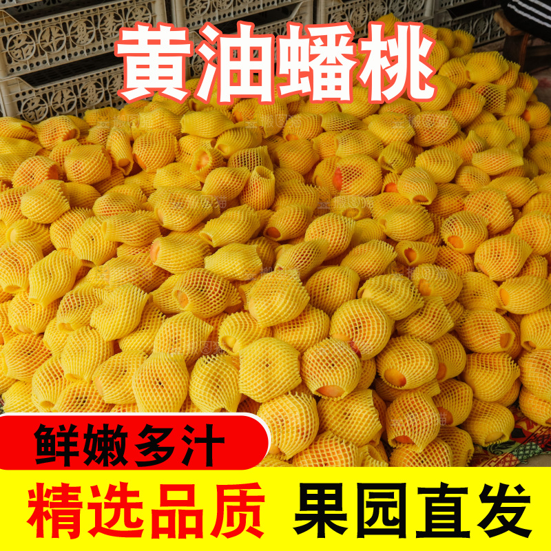 堆放着的黄蟠桃