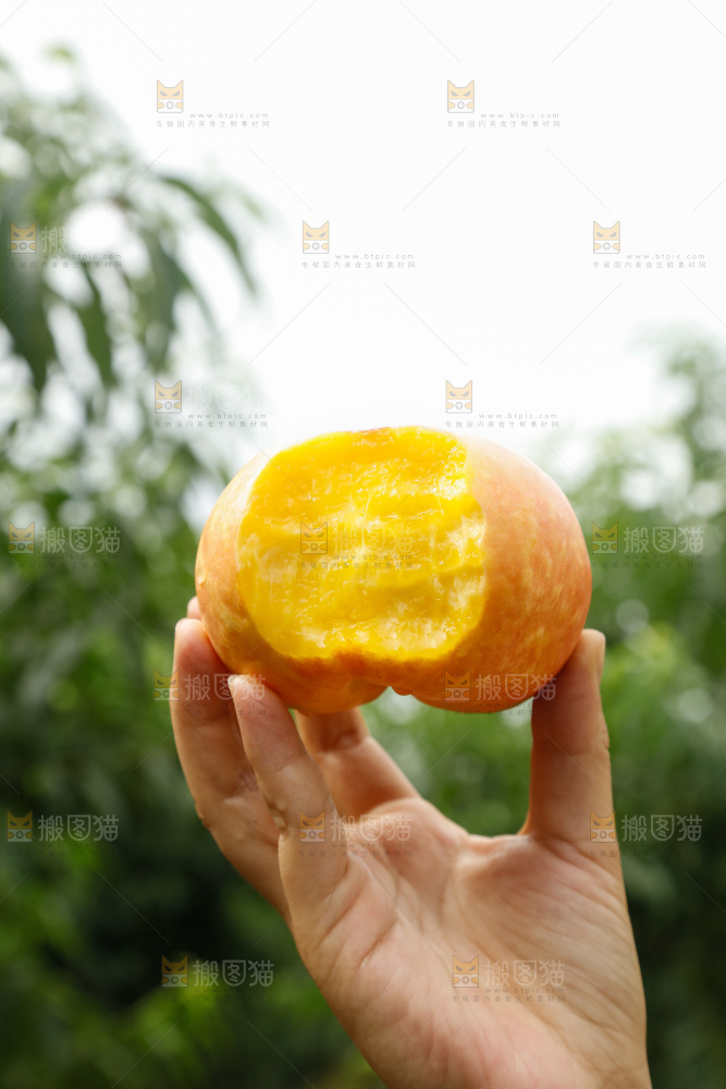 手里拿着黄油蟠桃
