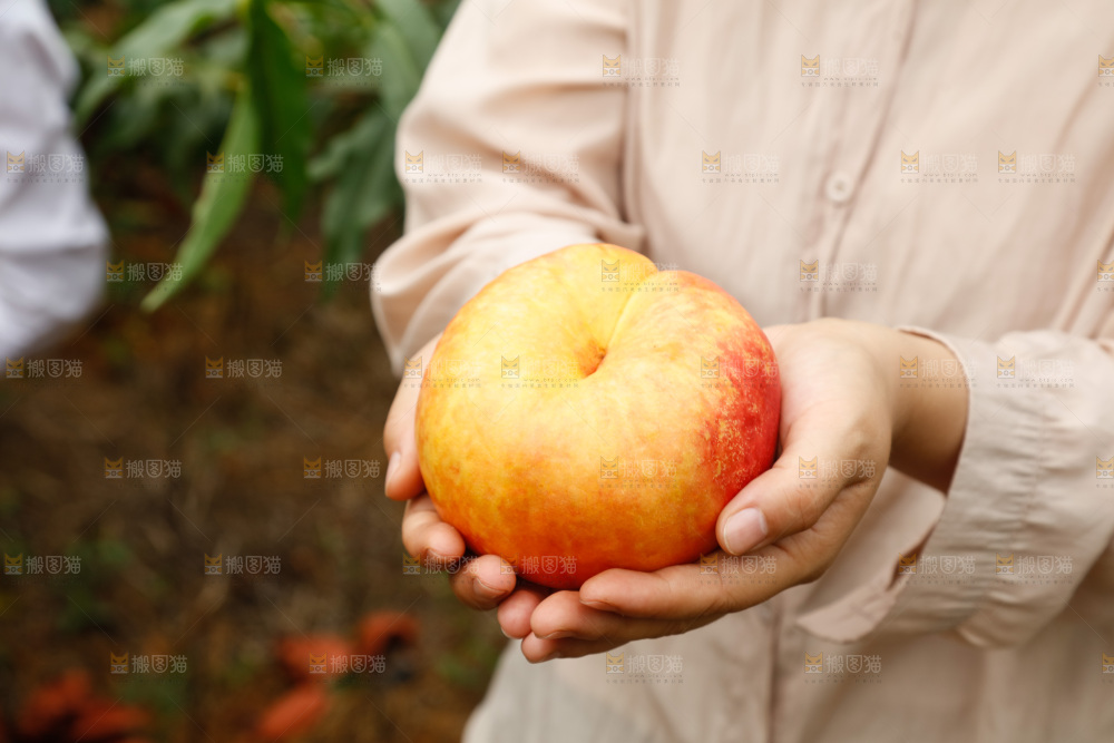 手里拿着黄油蟠桃