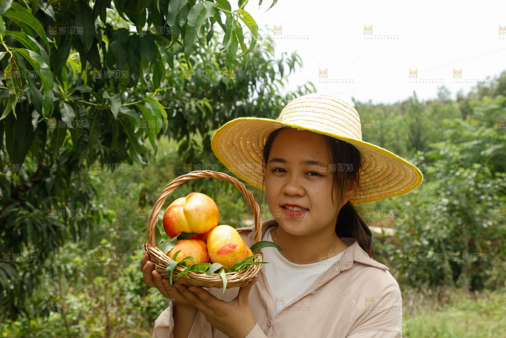 手里拿着黄油蟠桃