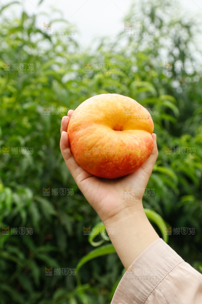 手里拿着黄油蟠桃