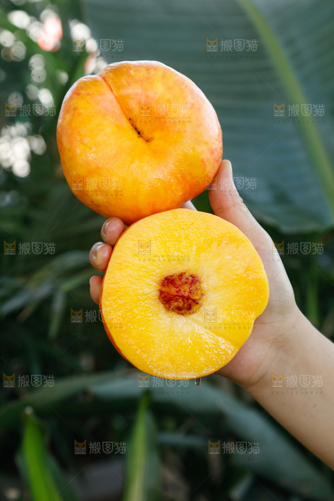 深底上的黄油蟠桃