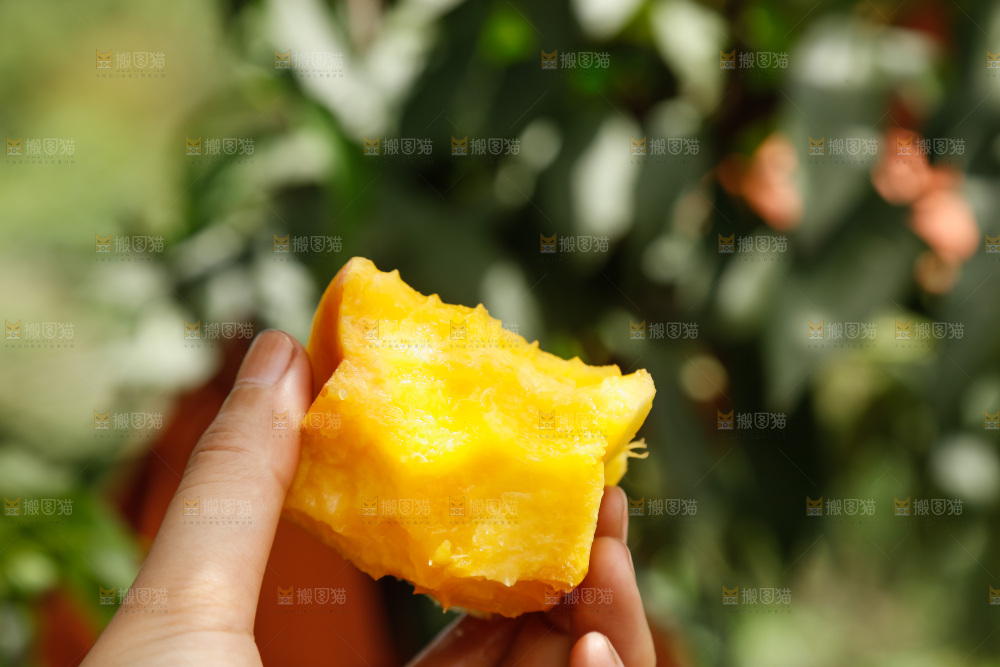 手里拿着黄油蟠桃