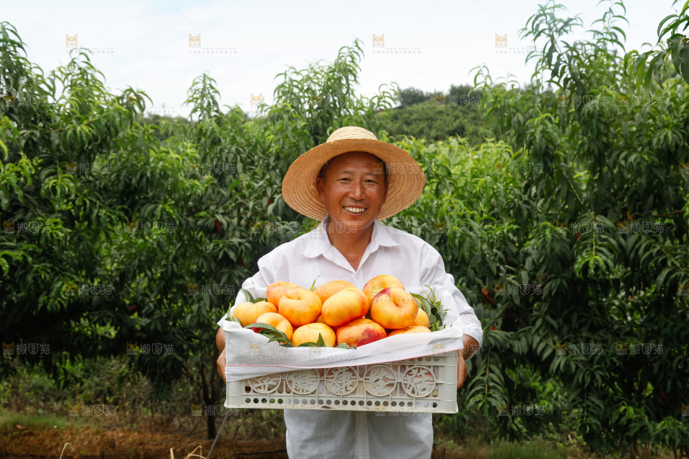 手里拿着黄油蟠桃