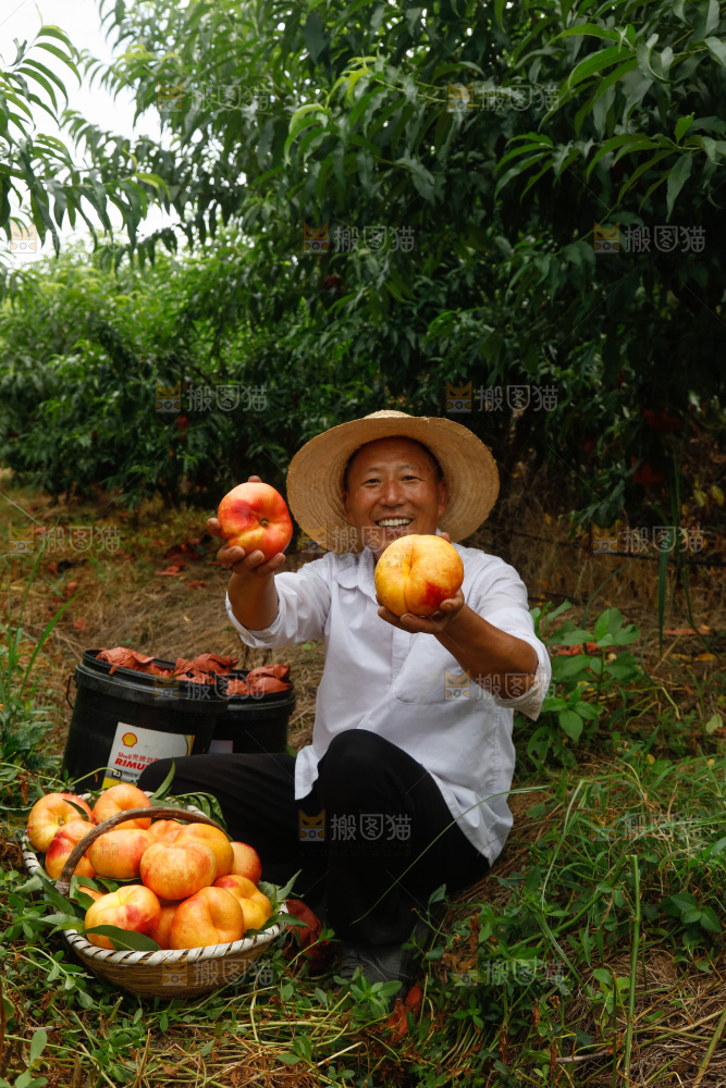 手里拿着黄油蟠桃