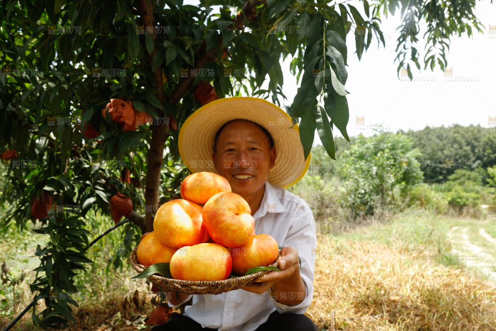 手里拿着黄油蟠桃