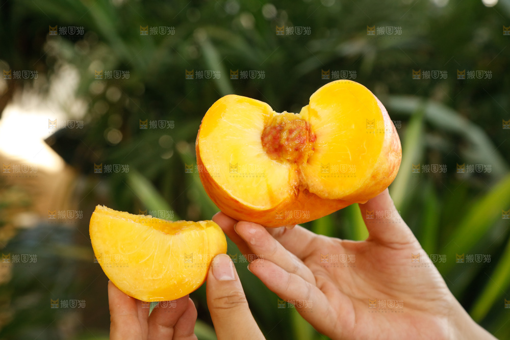 深底上的黄油蟠桃