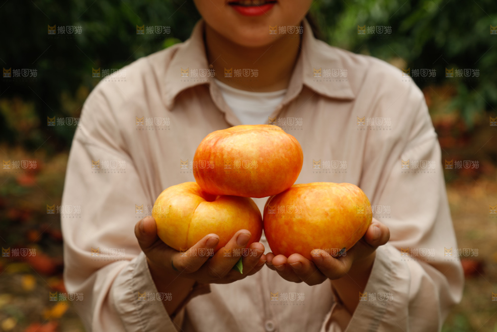 手里拿着黄油蟠桃