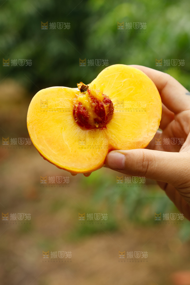 手里拿着黄油蟠桃