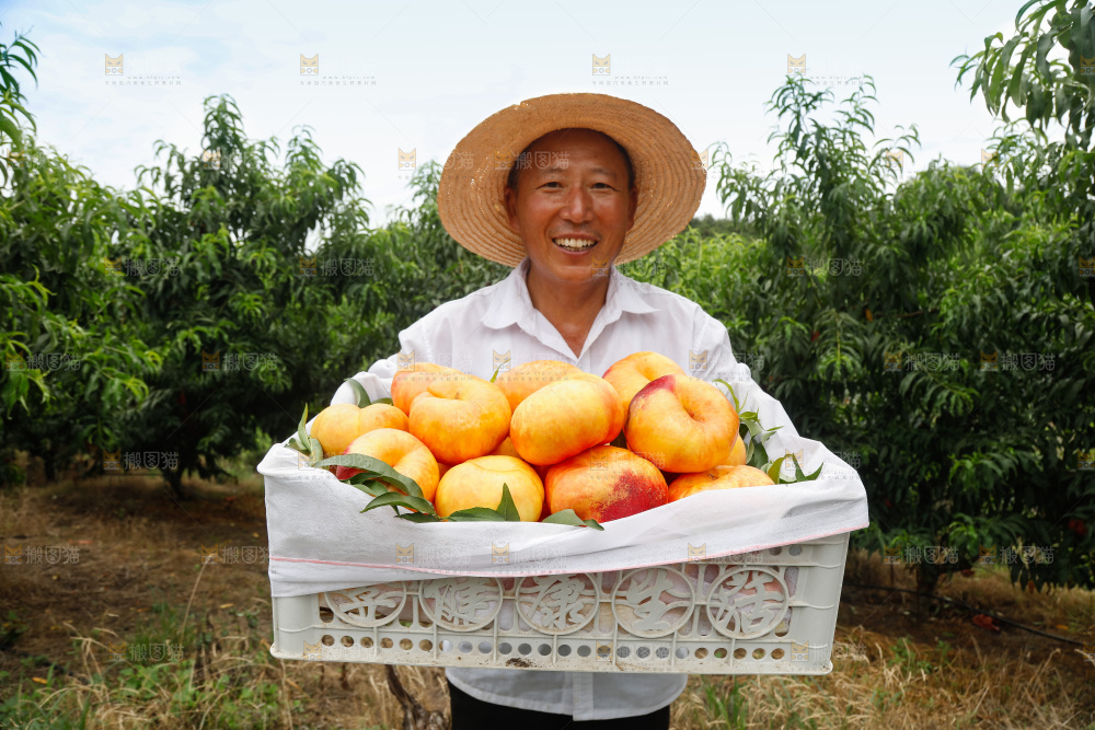 手里拿着黄油蟠桃