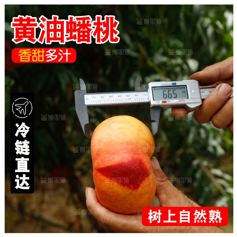 手里拿着黄油蟠桃