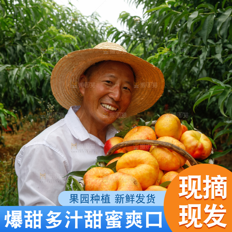 手里拿着黄油蟠桃