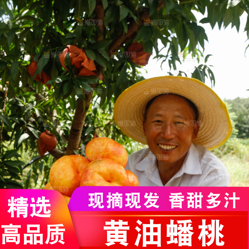 手里拿着黄油蟠桃