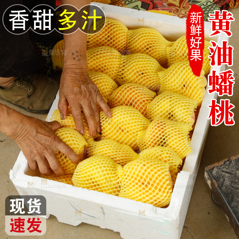 堆放着的黄蟠桃