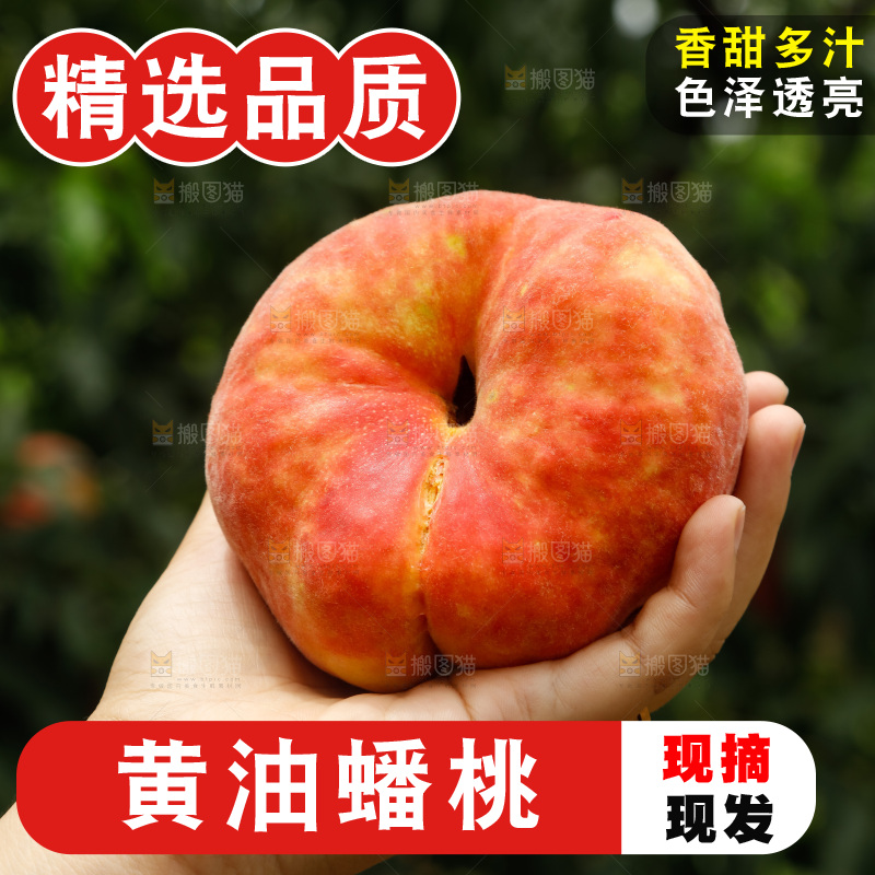 堆放着的黄蟠桃
