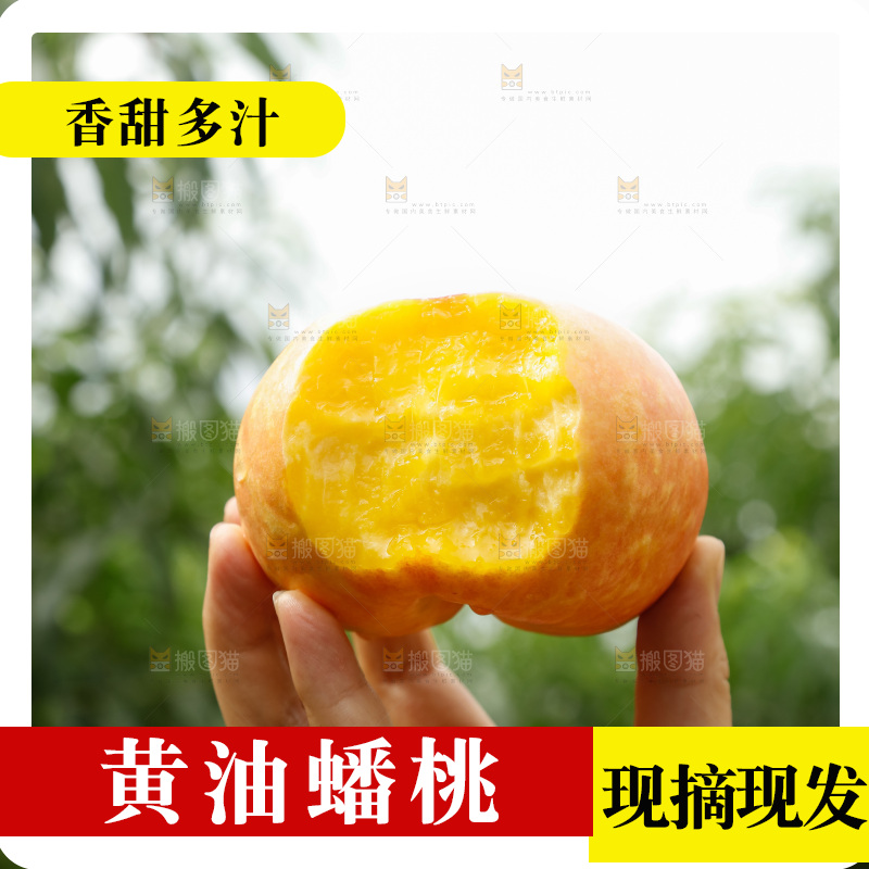 手里拿着黄油蟠桃