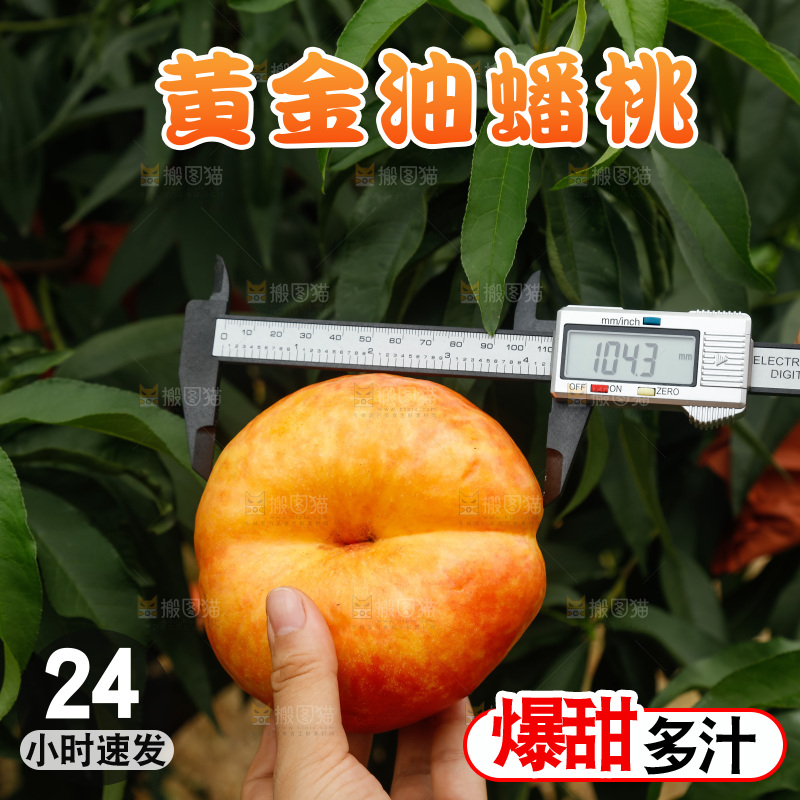 手里拿着黄油蟠桃