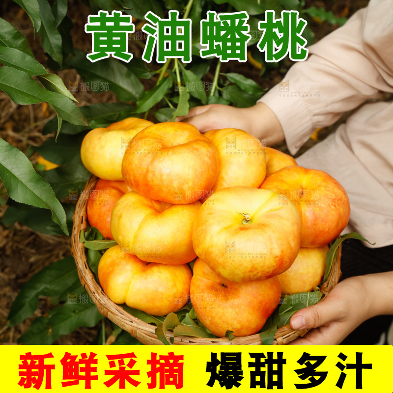 手里拿着黄油蟠桃