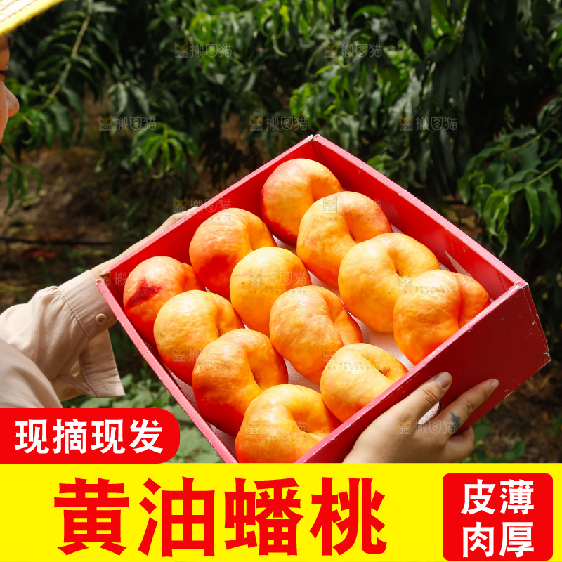 手里拿着黄油蟠桃
