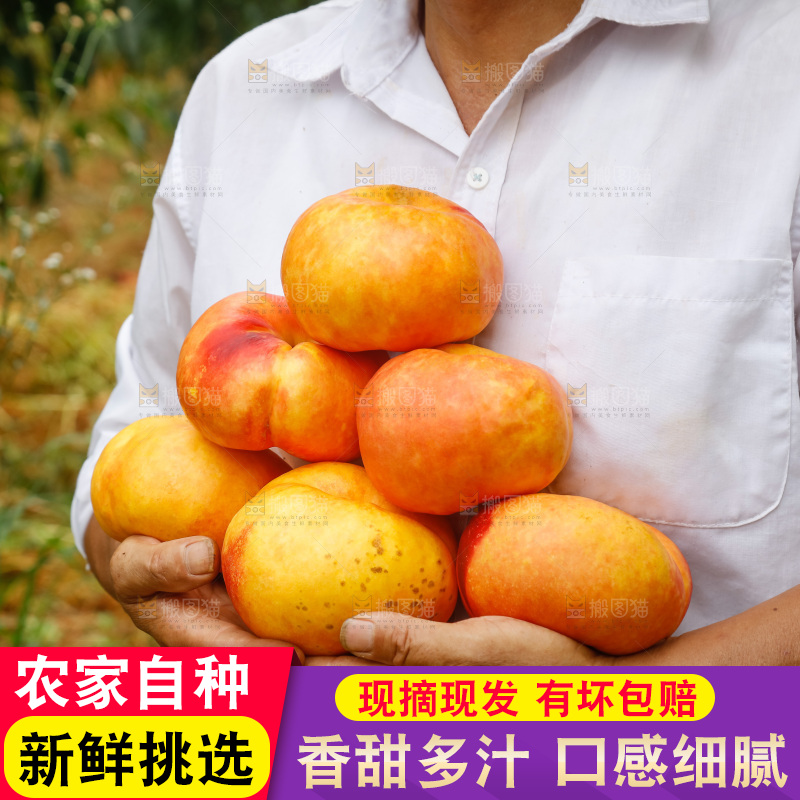 手里拿着黄油蟠桃