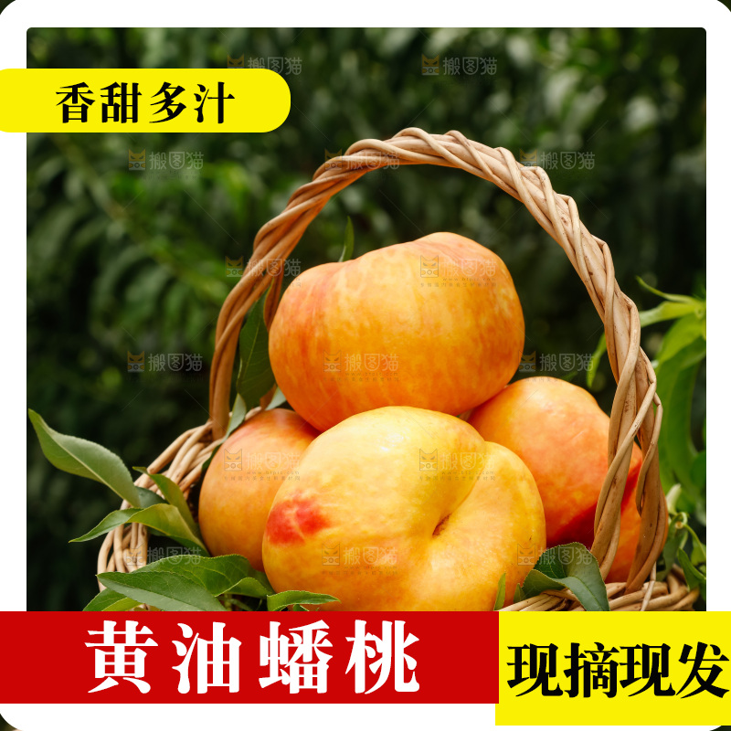 手里拿着黄油蟠桃