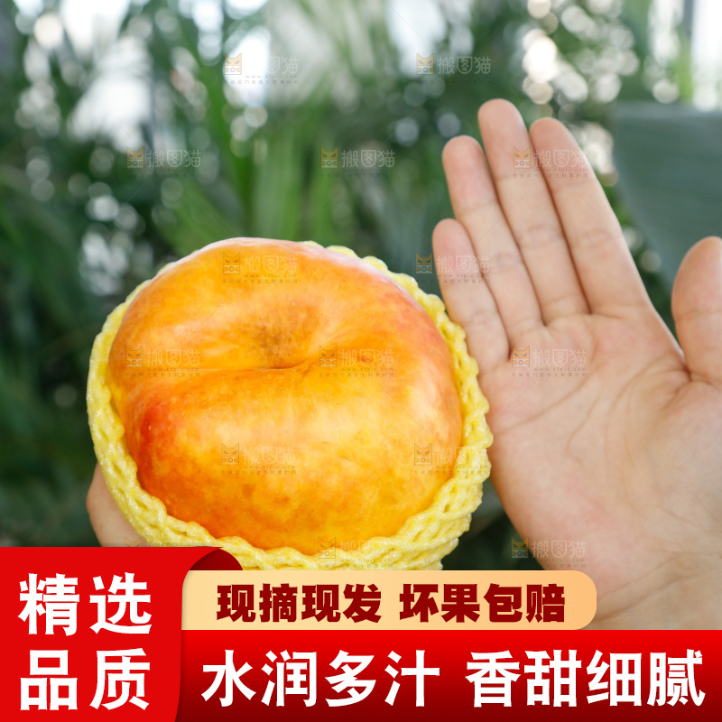 深底上的黄油蟠桃