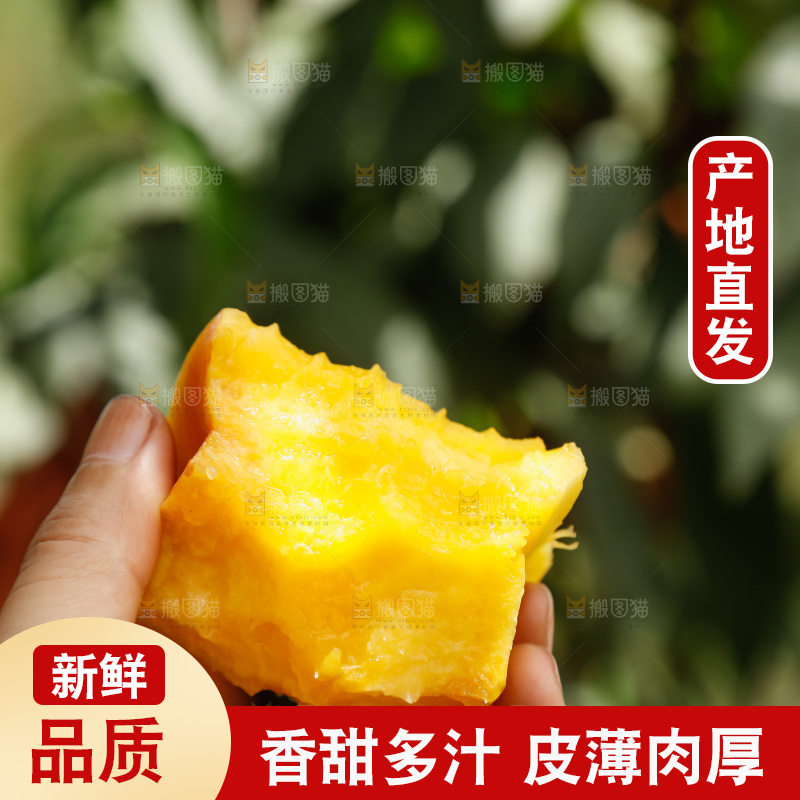 手里拿着黄油蟠桃
